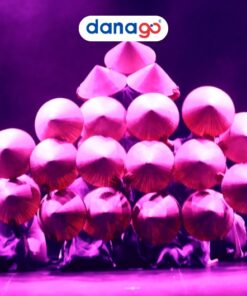 The Heritage Show Da Nang